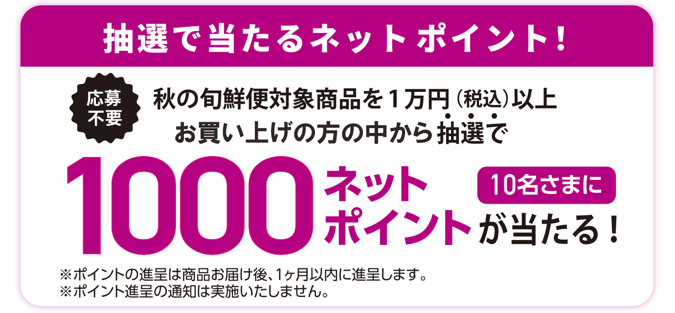 ネットポイント