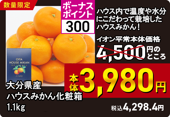 大分県産 ハウスみかん化粧箱 1.1kg