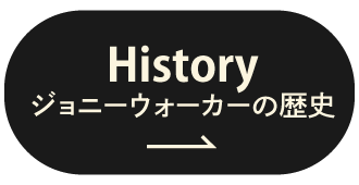 歴史へのボタン
