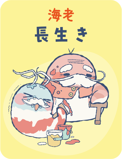 【海老】長生き タップで詳細を見る