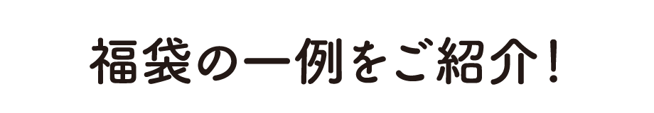 福袋の一例をご紹介！