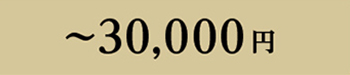 ～30000円