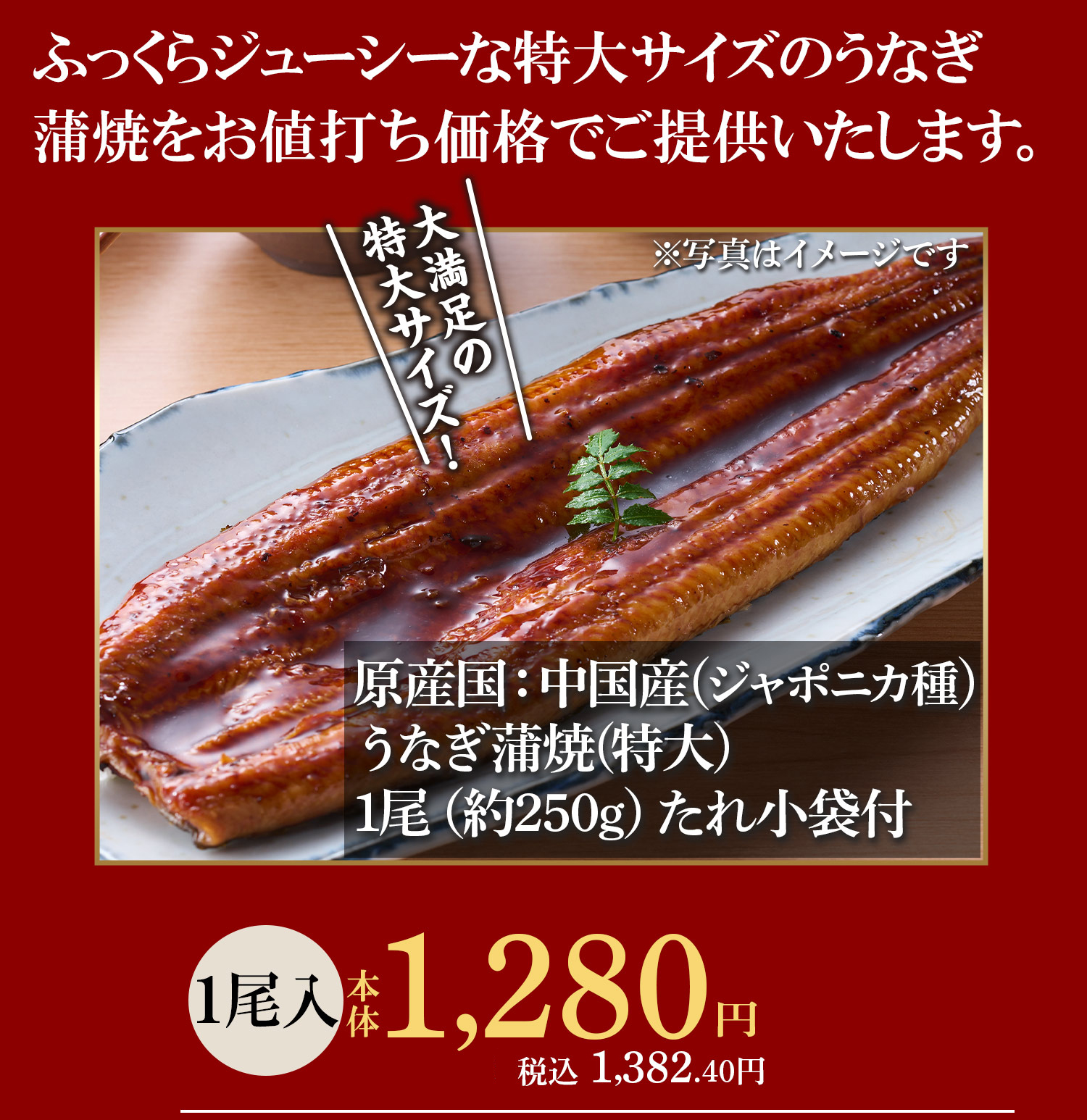 うなぎ蒲焼（中国）　特大