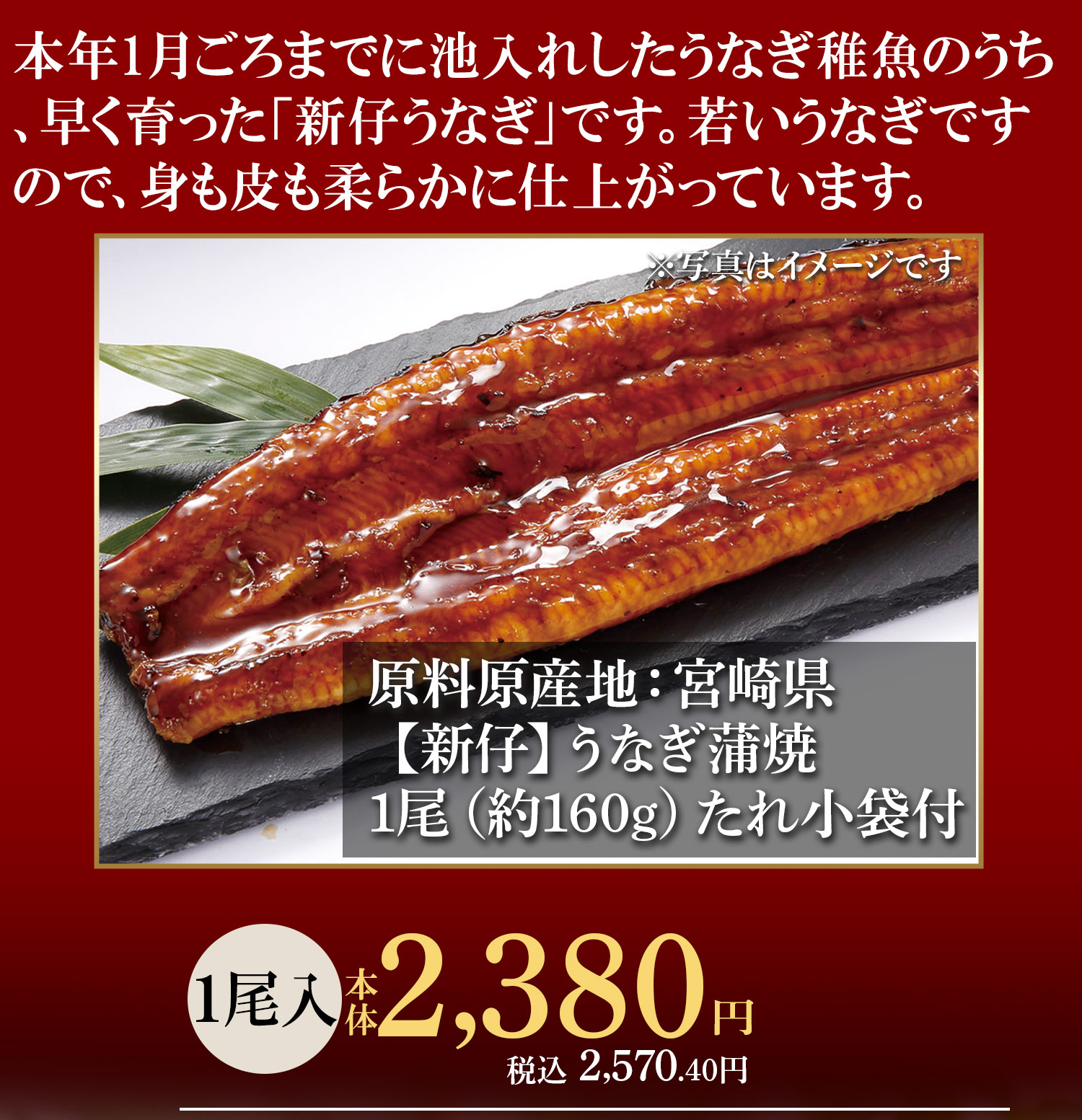 【新仔】うなぎ蒲焼