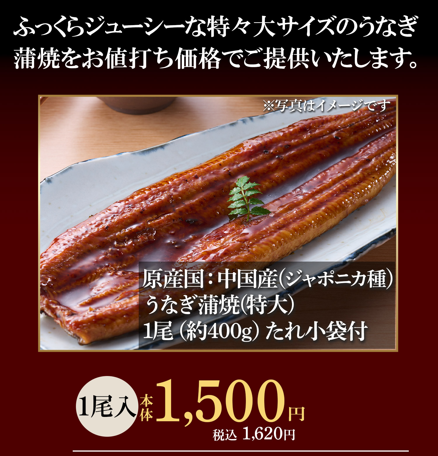 うなぎ蒲焼　特々大