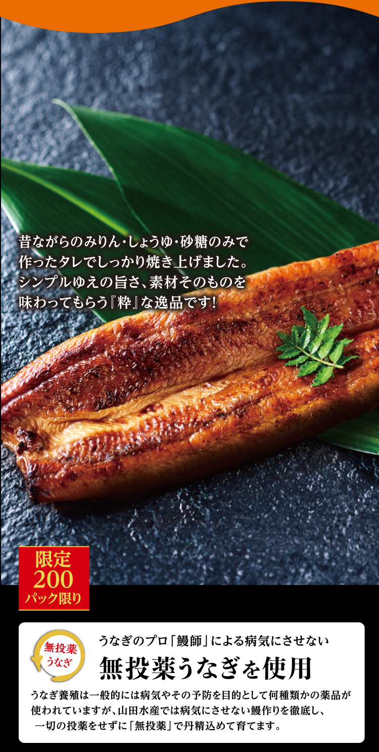 山田うなぎ〈粋〉うなぎ蒲焼セット