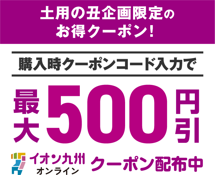 購入時クーポンコード入力で最大500円OFF