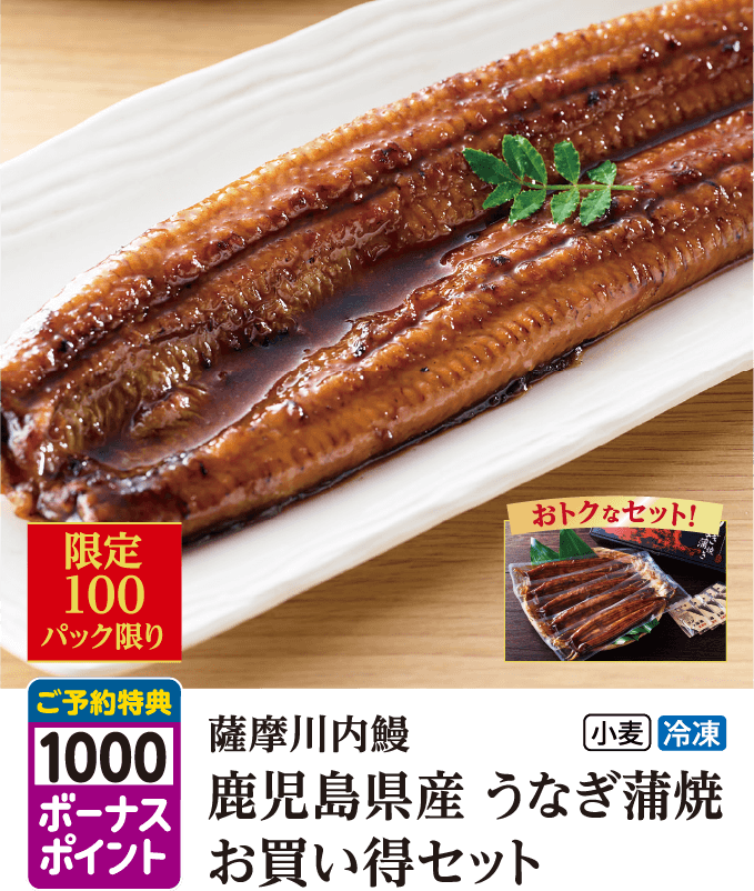 薩摩川内鰻 鹿児島県産うなぎ蒲焼 お買い得セット 5尾入