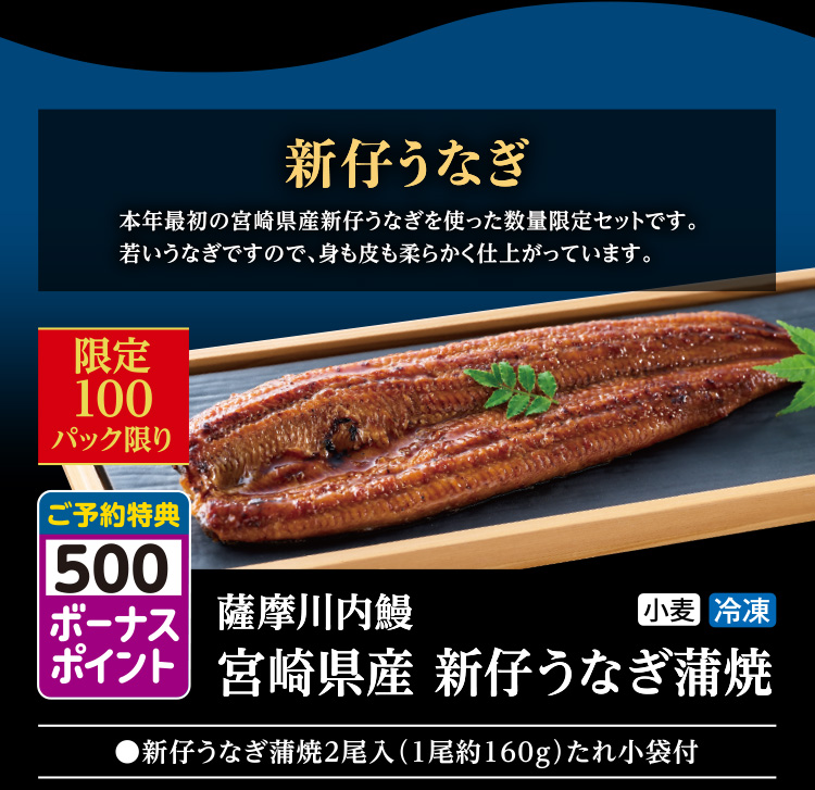宮崎県産　新仔うなぎ蒲焼　2尾入