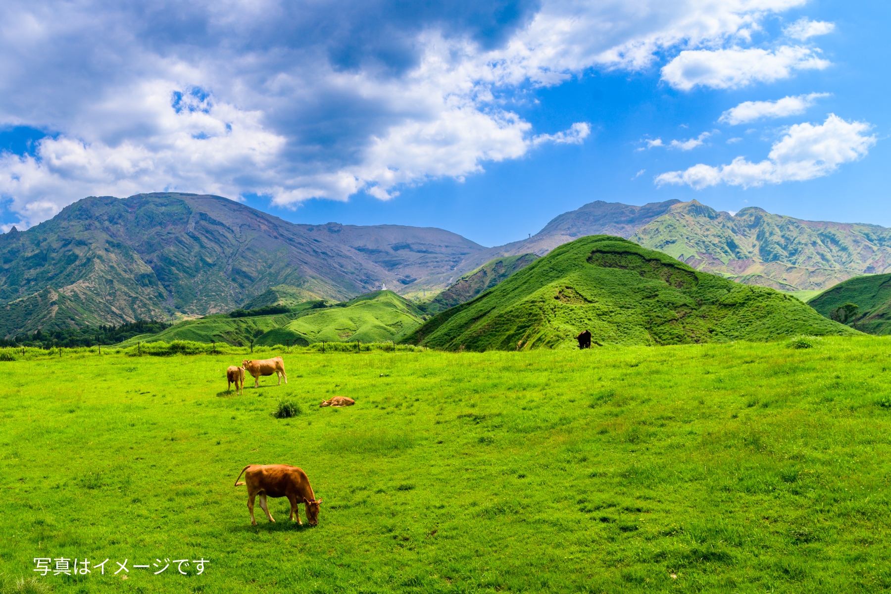 熊本循環型畜産業のイメージ画像