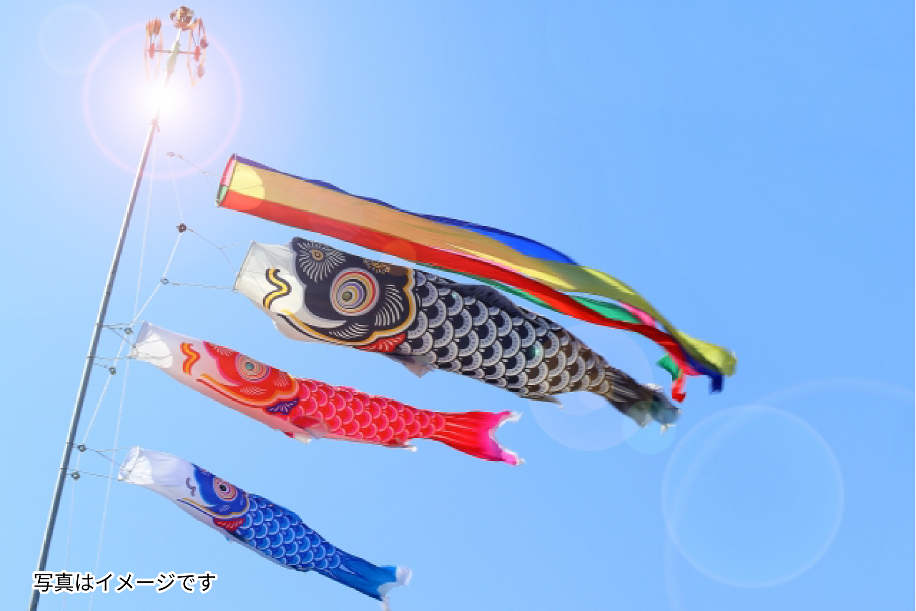 こいのぼりイメージ画像