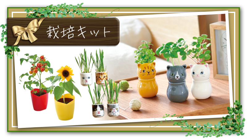 栽培キット