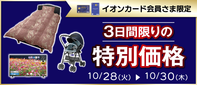 特別価格B