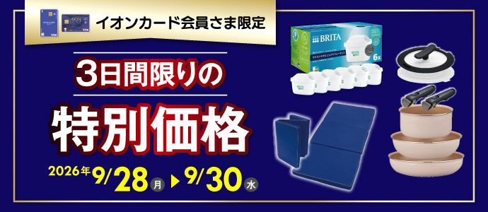 特別価格B