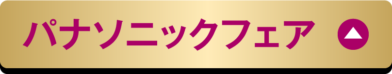 パナソニックフェア