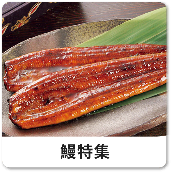 鰻特集