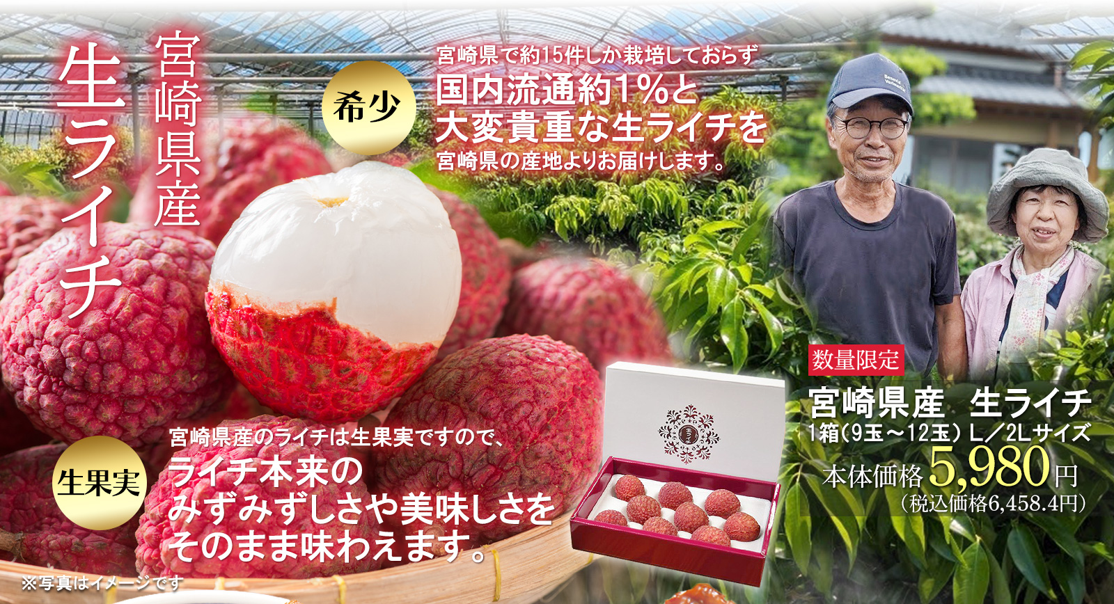 宮崎県産生ライチ