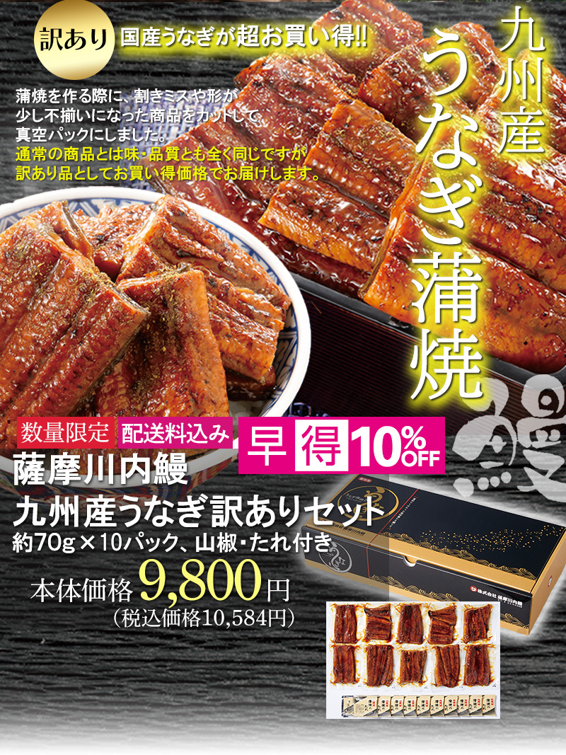 薩摩川内訳ありうなぎセット