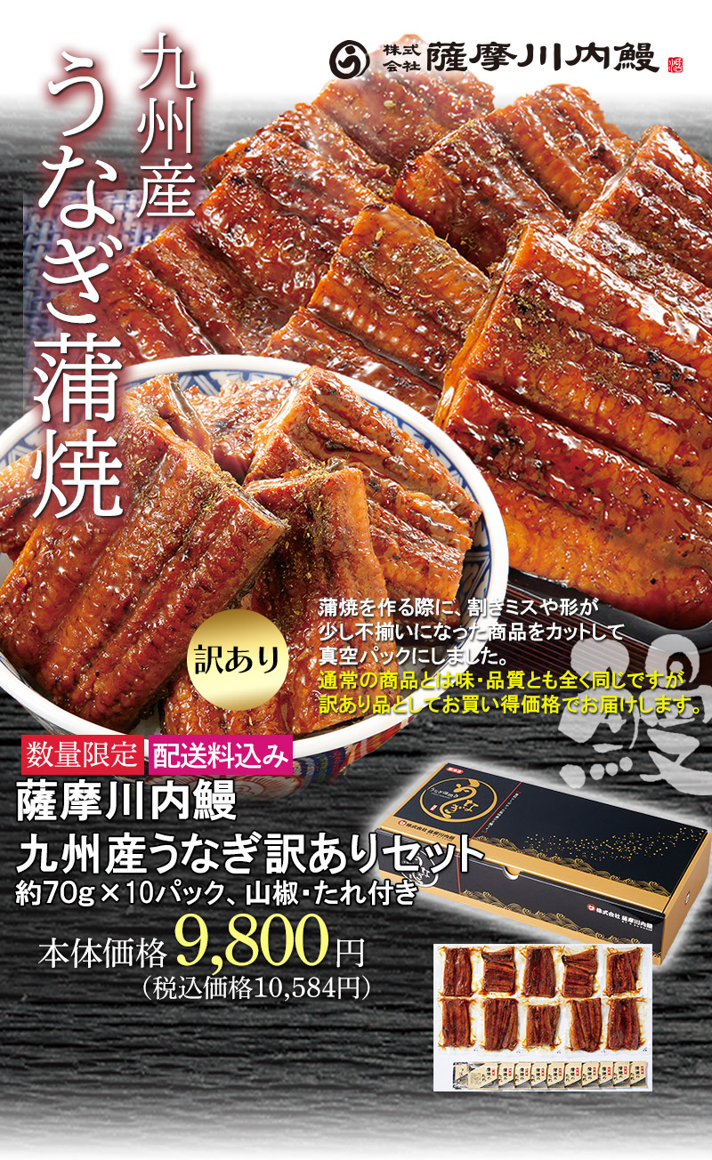 薩摩川内訳ありうなぎセット