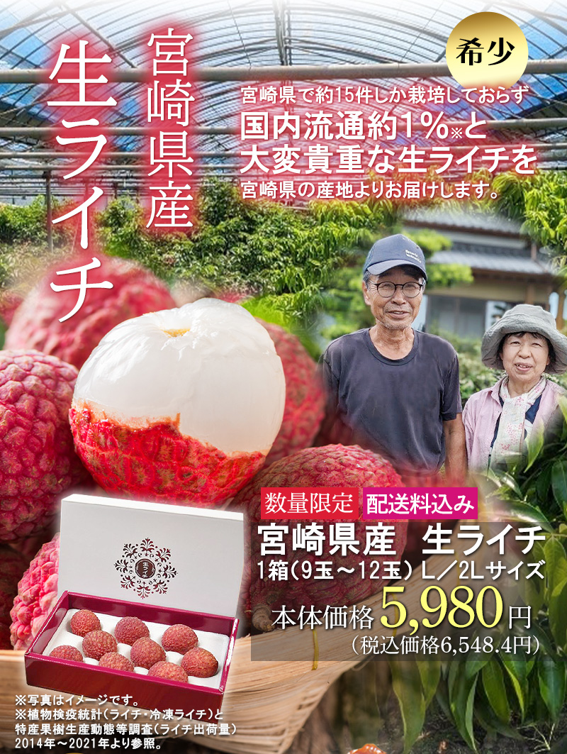宮崎県産生ライチ