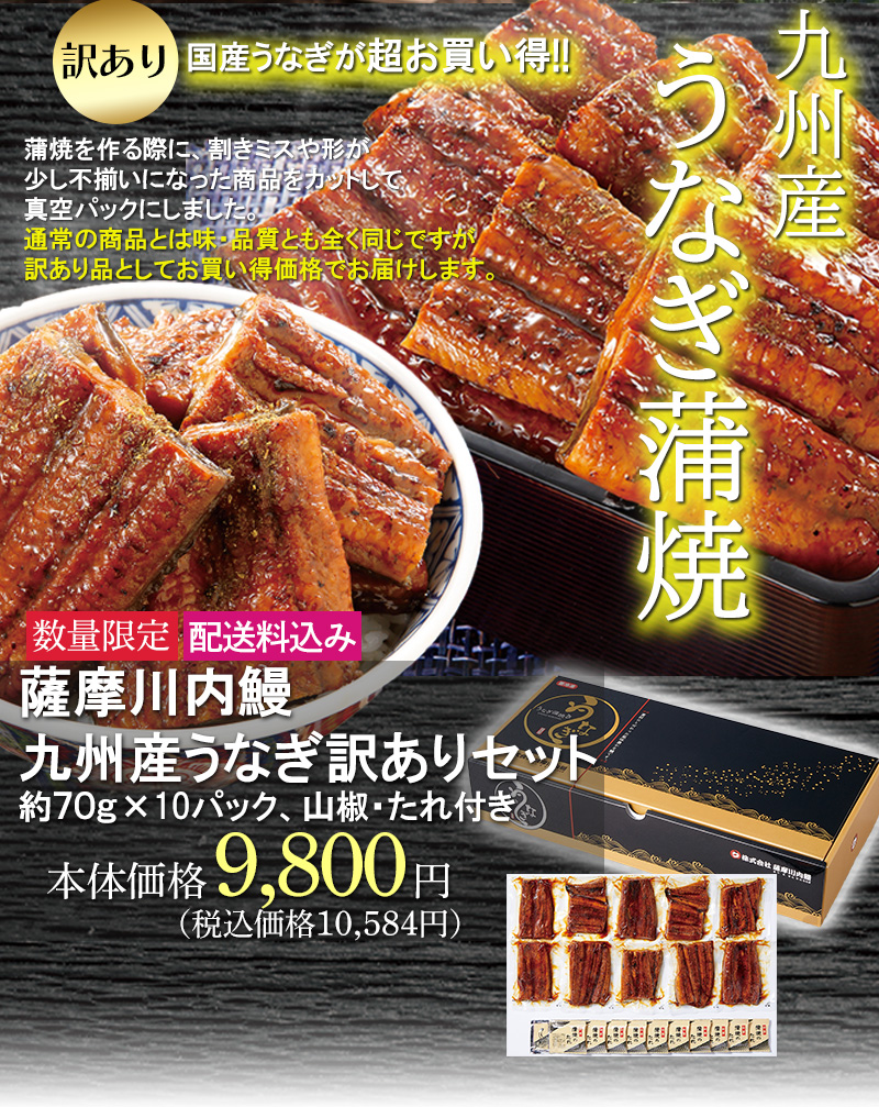 薩摩川内訳ありうなぎセット
