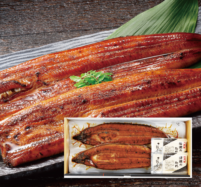 薩摩川内 熊本県産 うなぎ蒲焼長焼【大】2尾
