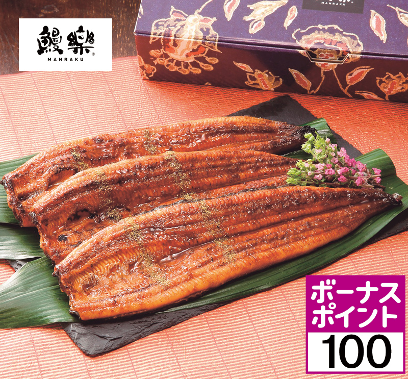 鰻楽 九州産うなぎ蒲焼長焼3尾