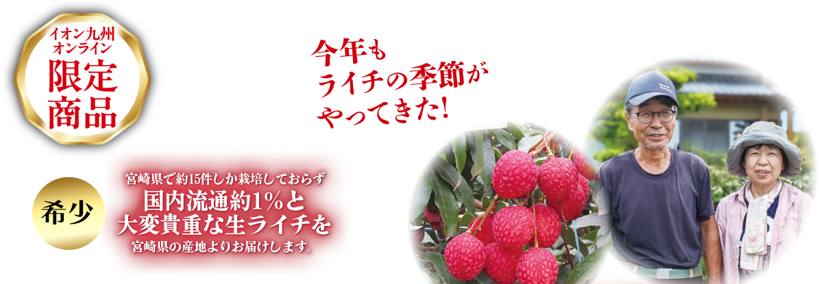 宮崎県産生ライチ