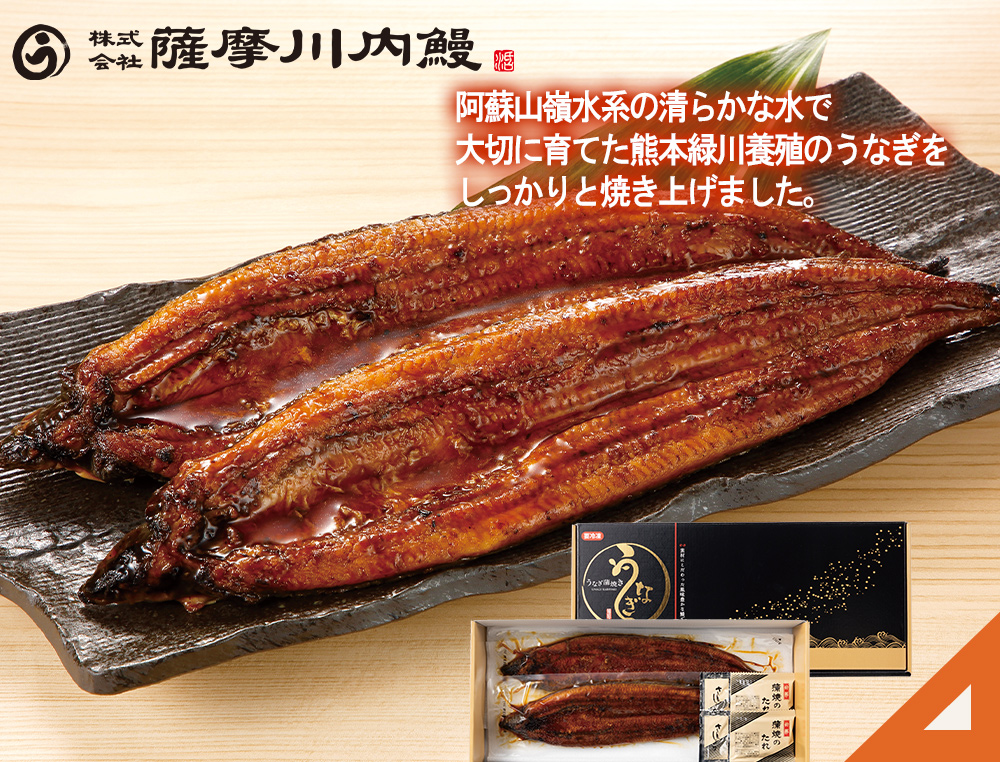 薩摩川内鰻熊本県産 うなぎ蒲焼長焼 2尾