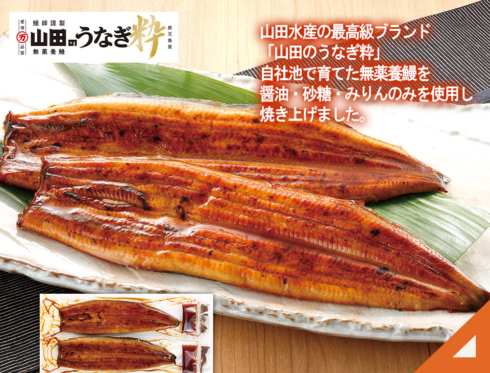 山田水産鹿児島産山田のうなぎ粋2尾セット