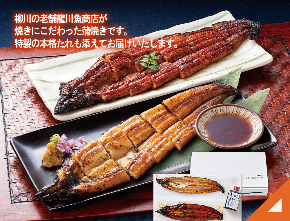 龍川魚商店柳川加工（鹿児島県産原料）うなぎ蒲焼き・白焼きセット