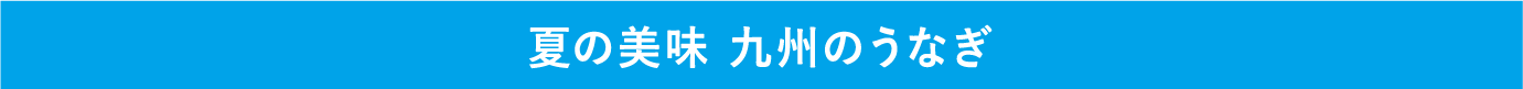 夏の美味 九州のうなぎ