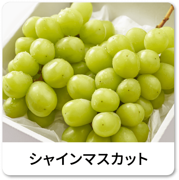 シャインマスカット