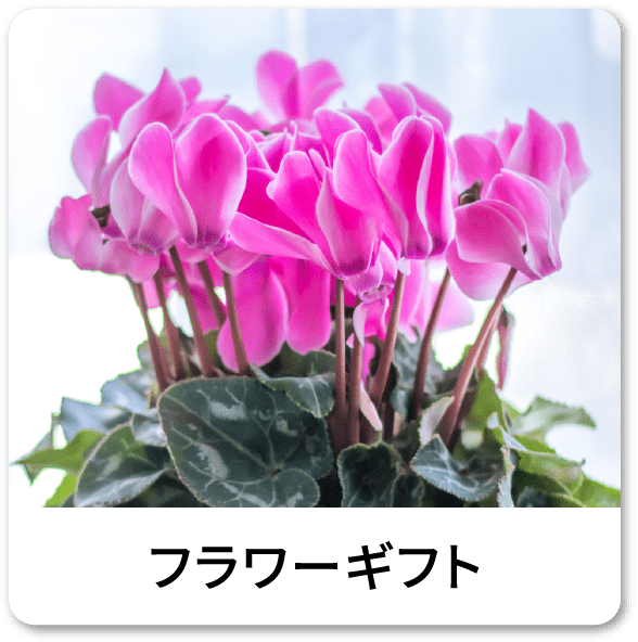 フラワーギフト