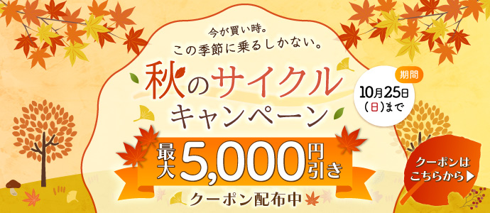 秋のサイクル