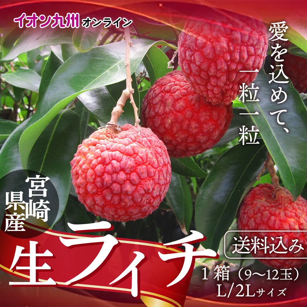 宮崎県産 生ライチ