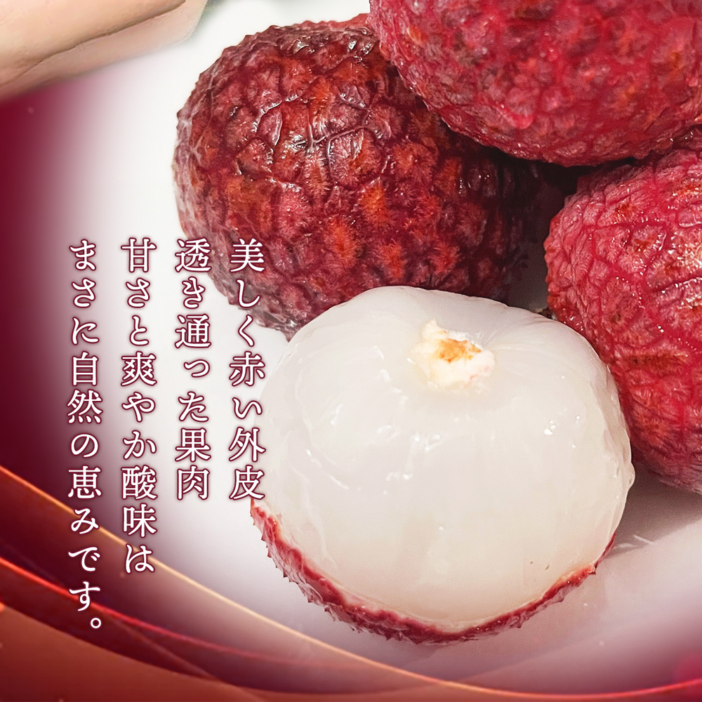 宮崎県産 生ライチ