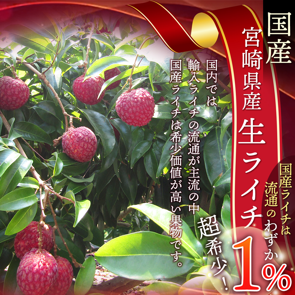 宮崎県産 生ライチ